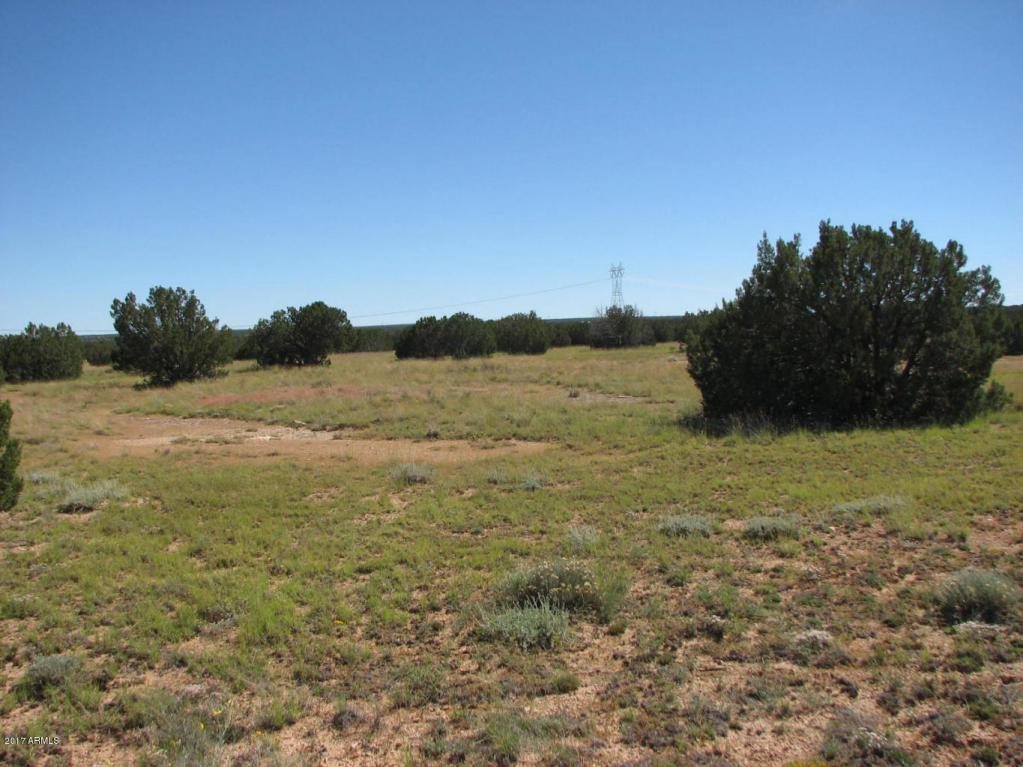 Lot 160 Ccr 2 - Photo 1