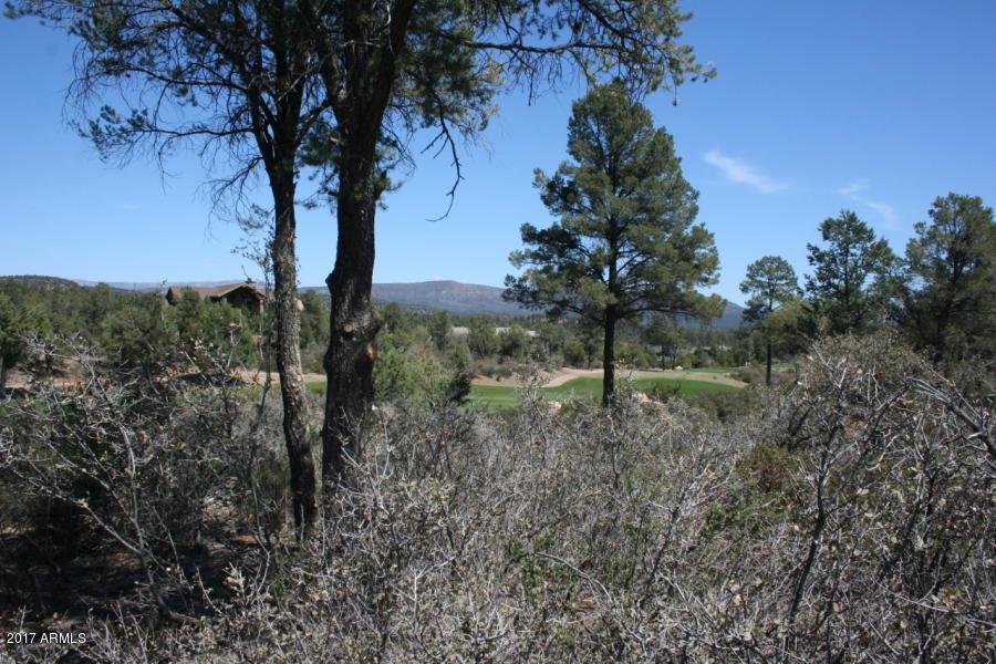 2408 Golden Aster Circle - Photo 1