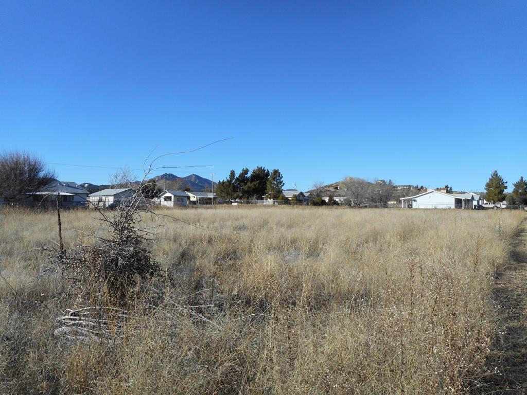 18604 Joseph Hodge Road - Photo 1