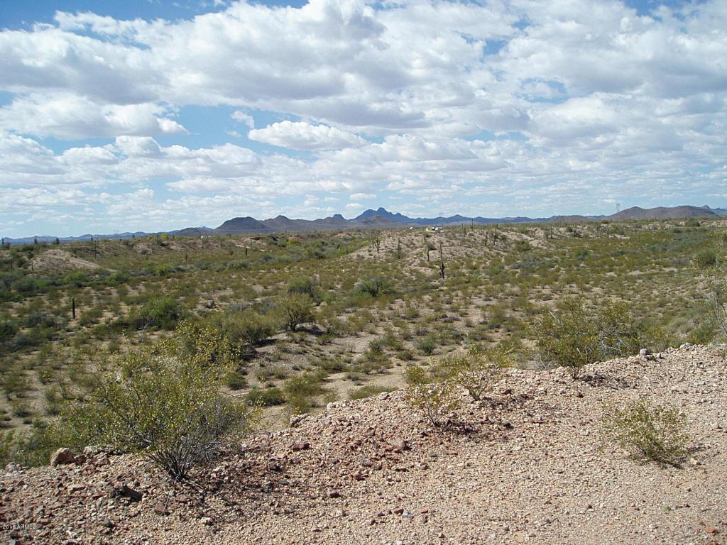 29701 Lone Mountain Road - Photo 1