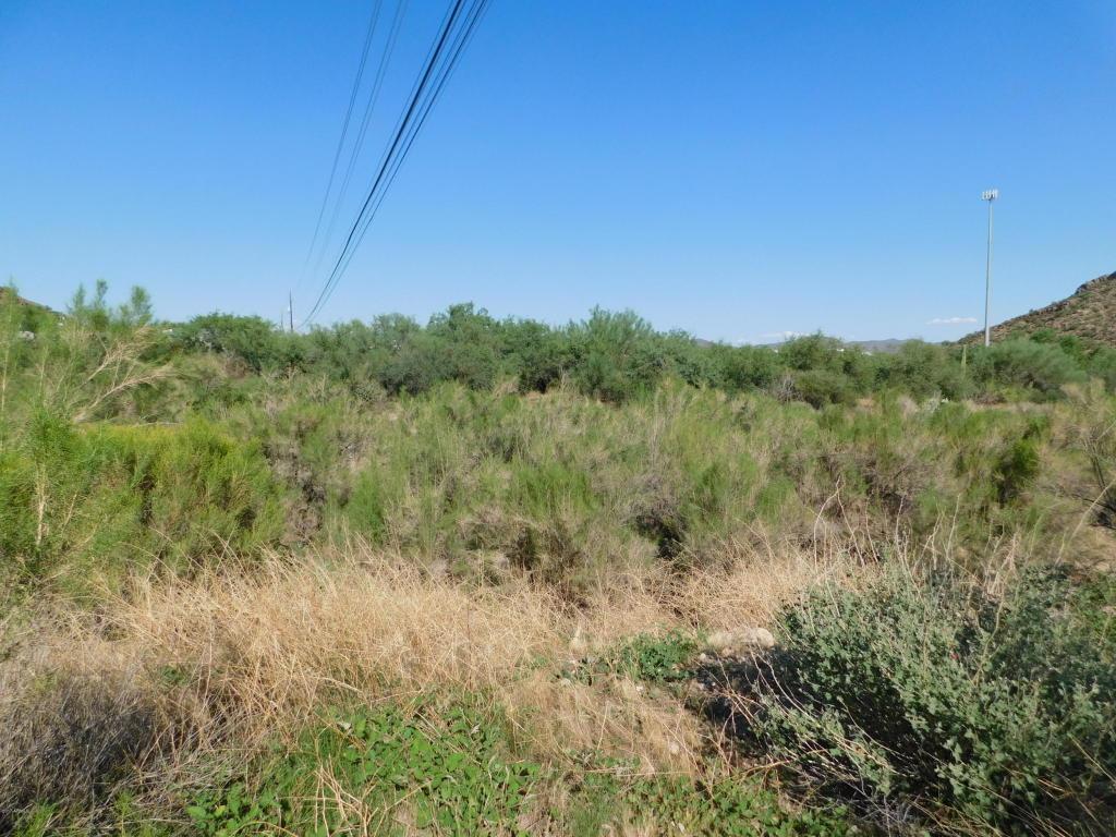 1048 Silver King Road - Photo 1