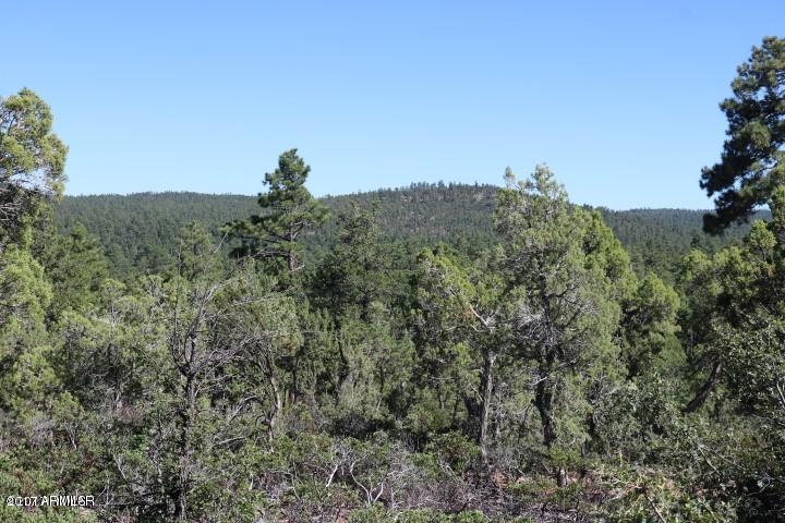 3260 Snowberry Loop - Photo 1