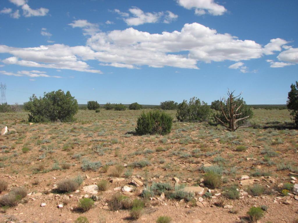 Lot 306 Chevelon Canyon Ranch #3 - Photo 1