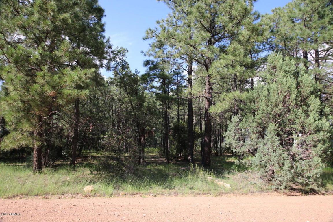 2150 Wildflower Road - Photo 1