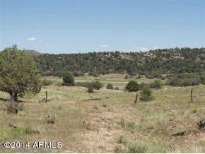 12955 Puntenney Road - Photo 1
