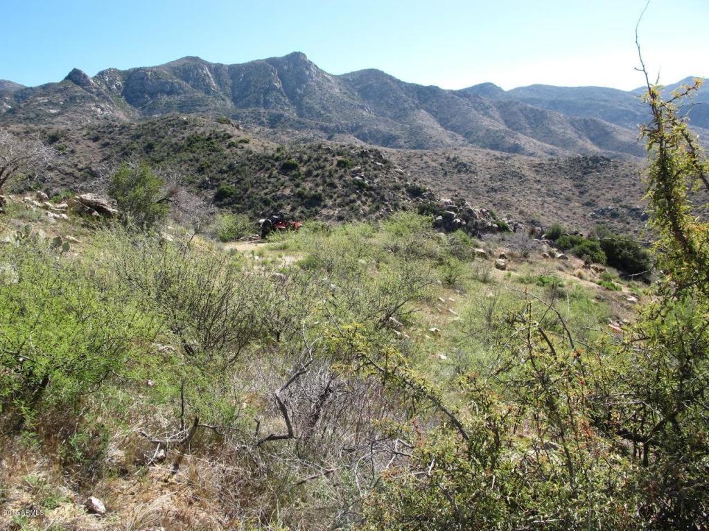 0 Cow Creek Road - Photo 1