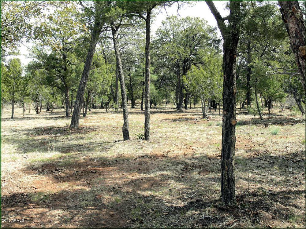3479 Fence Post Drive - Photo 1