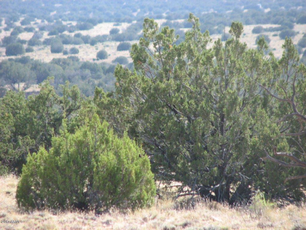 Lot 290 Chevelon Canyon Ranch #3 - Photo 1