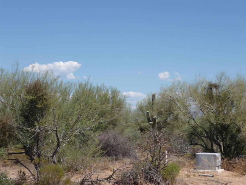14075 Oleson Road - Photo 1