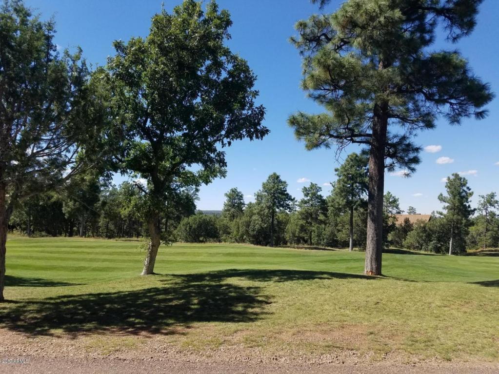 850 Barberry Lane - Photo 1