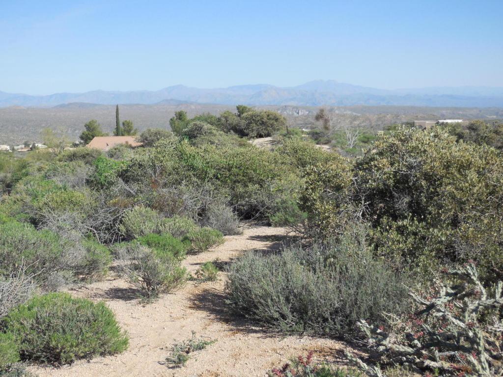 Lot 109 Hohokam Road - Photo 1