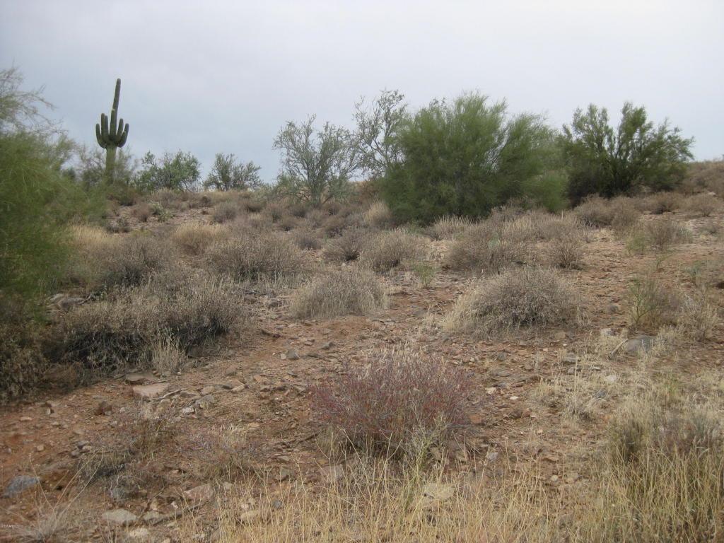 10228 Fire Canyon - Photo 1