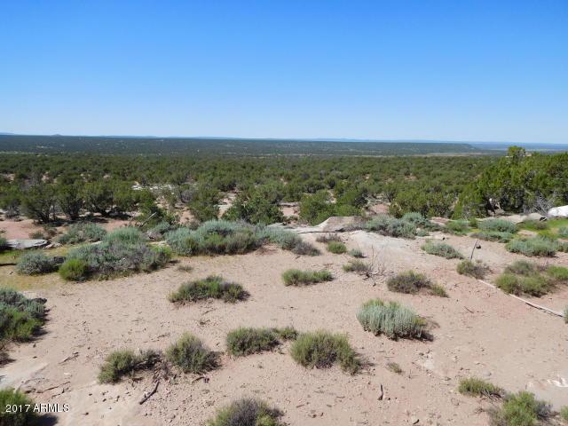 9186 Ridge View Lane - Photo 1