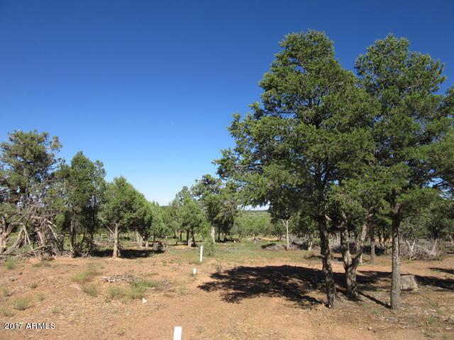 TBD Pinedale Road - Photo 1