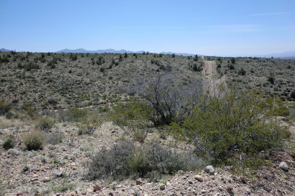 XXXXX Turquoise Drive - Photo 1