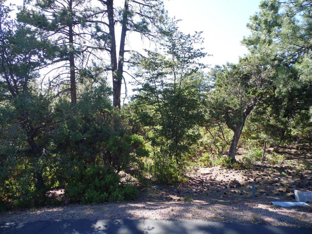 110 Moonglow Lane - Photo 1