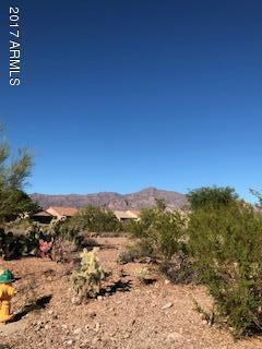9995 Meandering Trail Lane - Photo 1