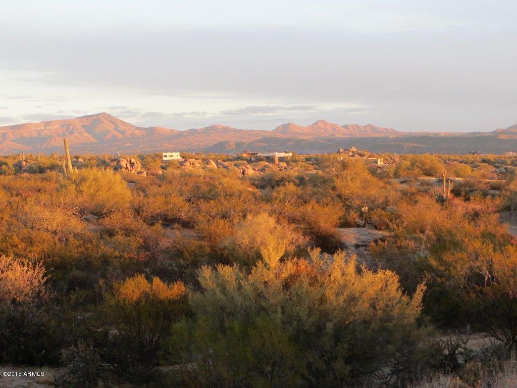 136XX Dove Valley Road - Photo 1