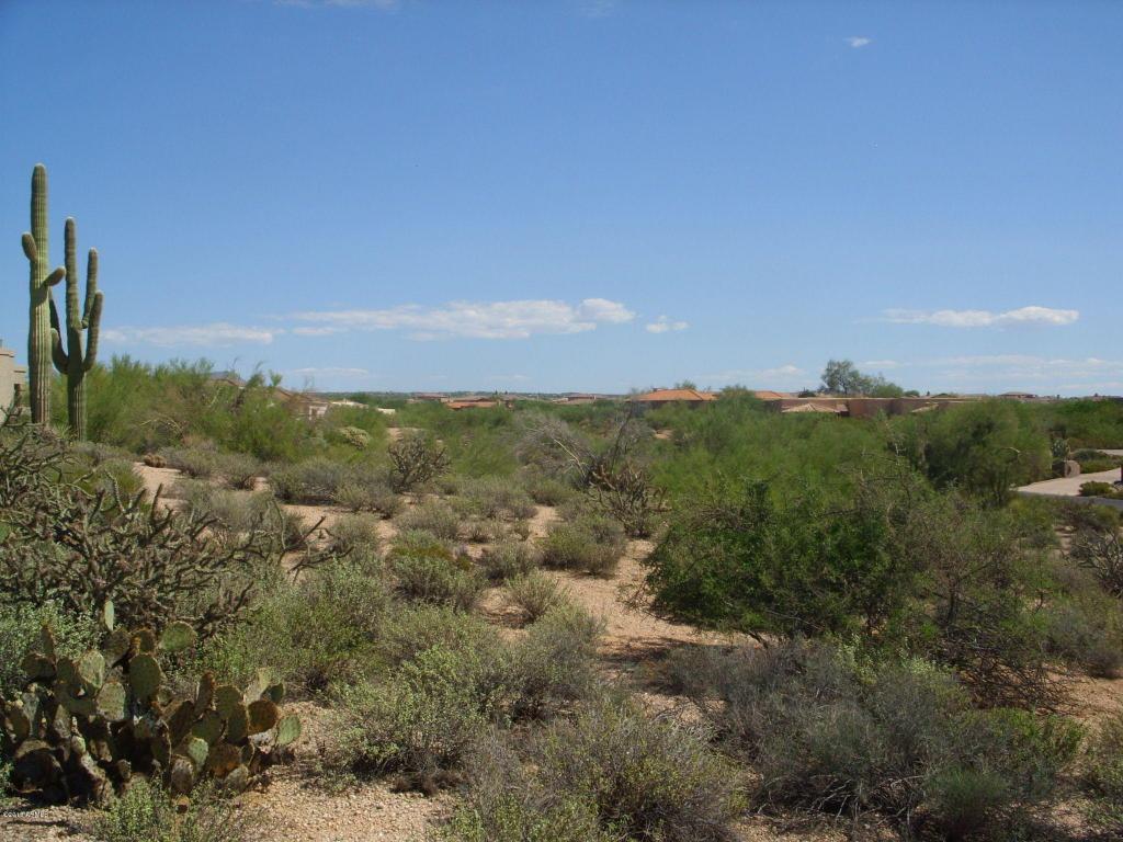 36448 Wildflower Road - Photo 1