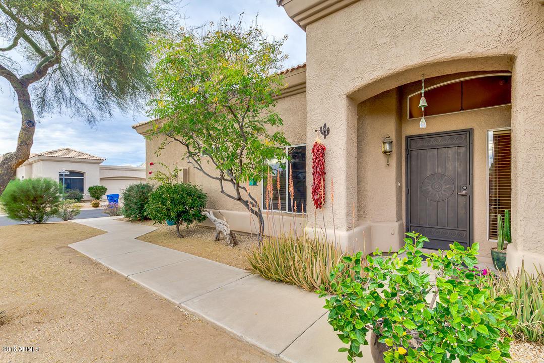 4703 Melanie Drive - Photo 1