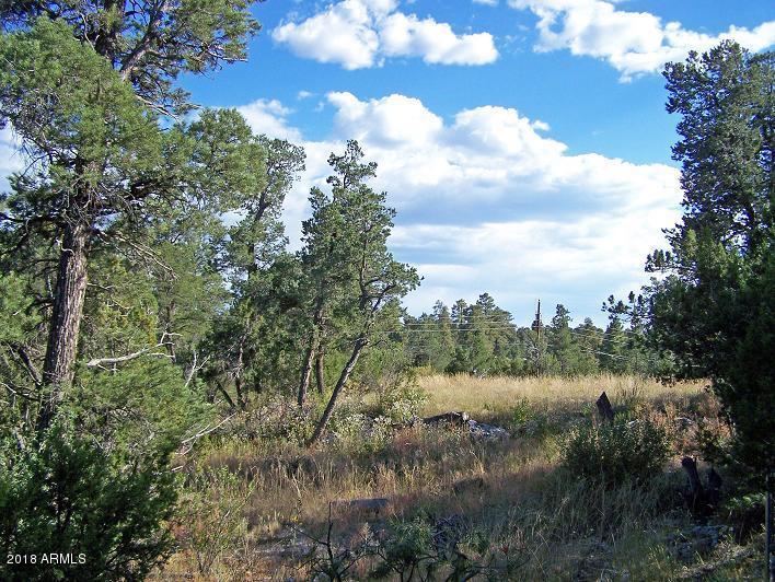 3117-21-25 Ranch Road - Photo 1