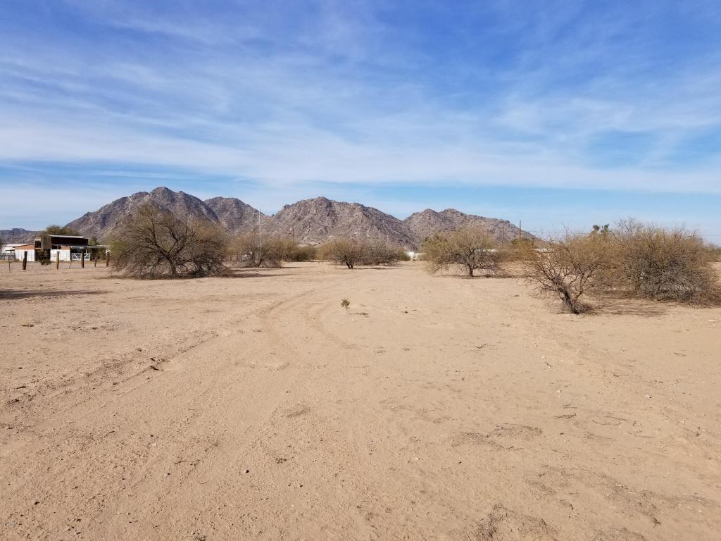 52477 Mayer Boulevard - Photo 1