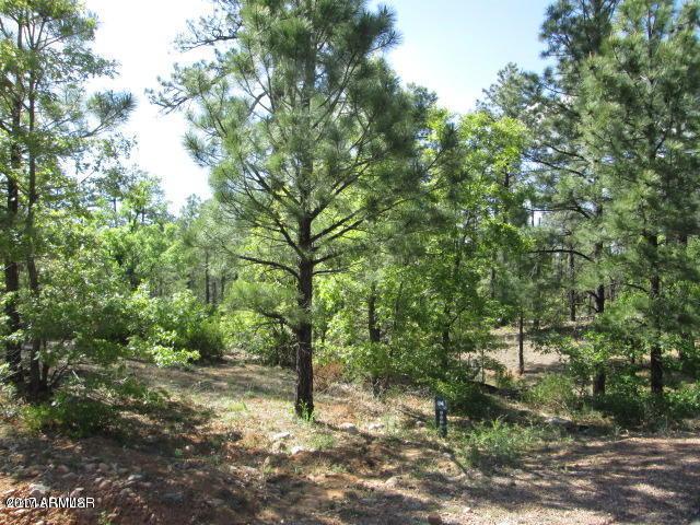3500 Redbud Lane - Photo 1
