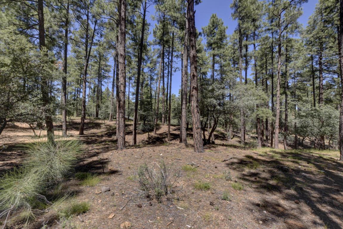 1650 Kaibab Loop - Photo 1
