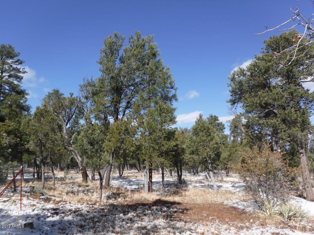 2032 Jones Pass - Photo 1
