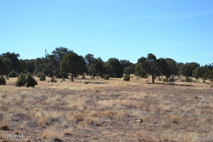 6626 Turkey Lake Road - Photo 1