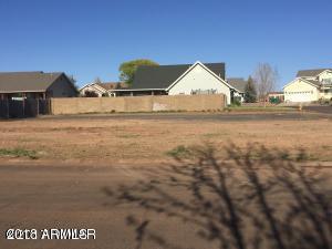 1771 Medina Loop - Photo 1