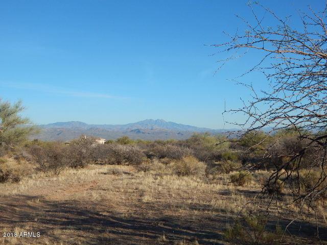 291xx 154TH Street - Photo 1