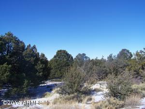 7134 Wild Horse Drive - Photo 1