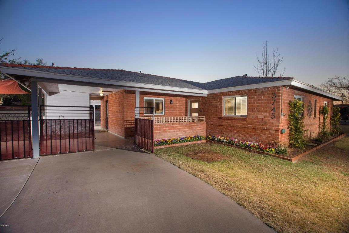 3745 Amelia Avenue - Photo 1