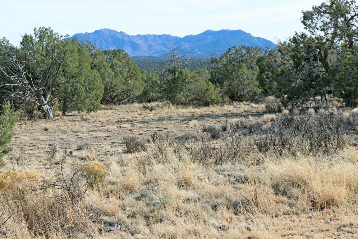 5401 Dillon Wash Road - Photo 1