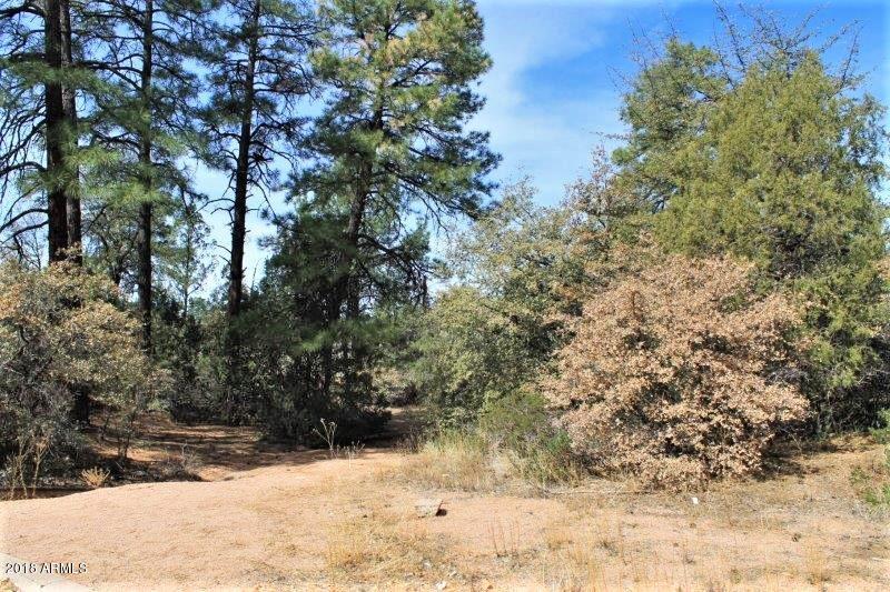 612 Ponderosa Circle - Photo 1