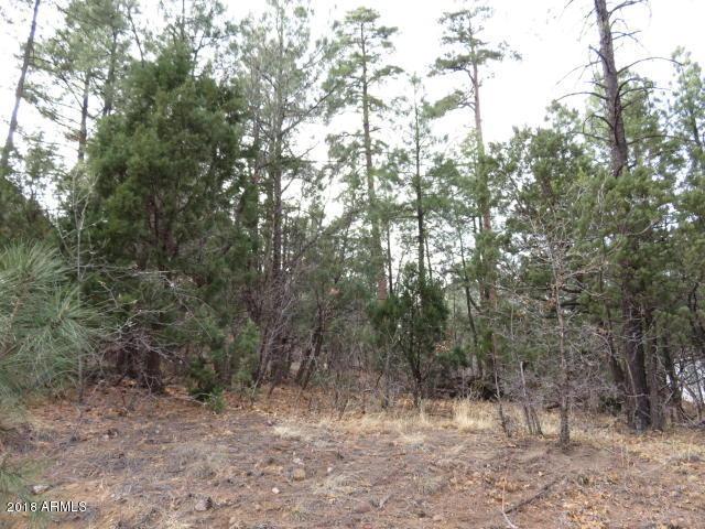 2906 Lockwood Drive - Photo 1