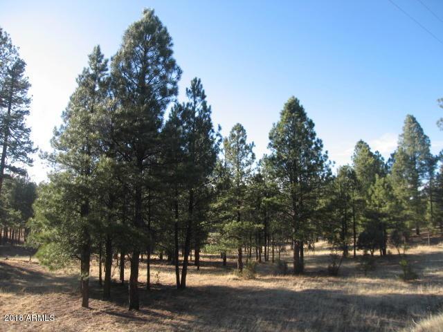2826 Cherokee Way - Photo 1