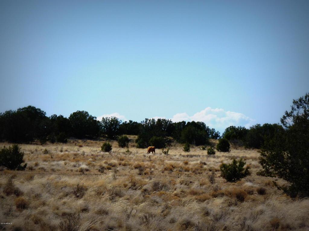 01 Headwater Ranch - Photo 1