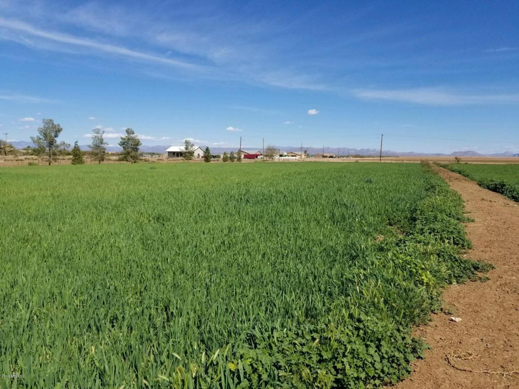 27516 Cooper Road - Photo 1