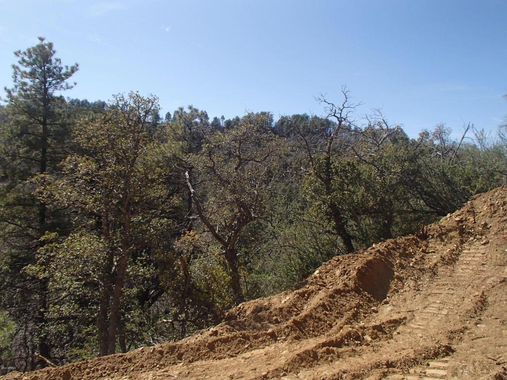 7819 Estee Road - Photo 1