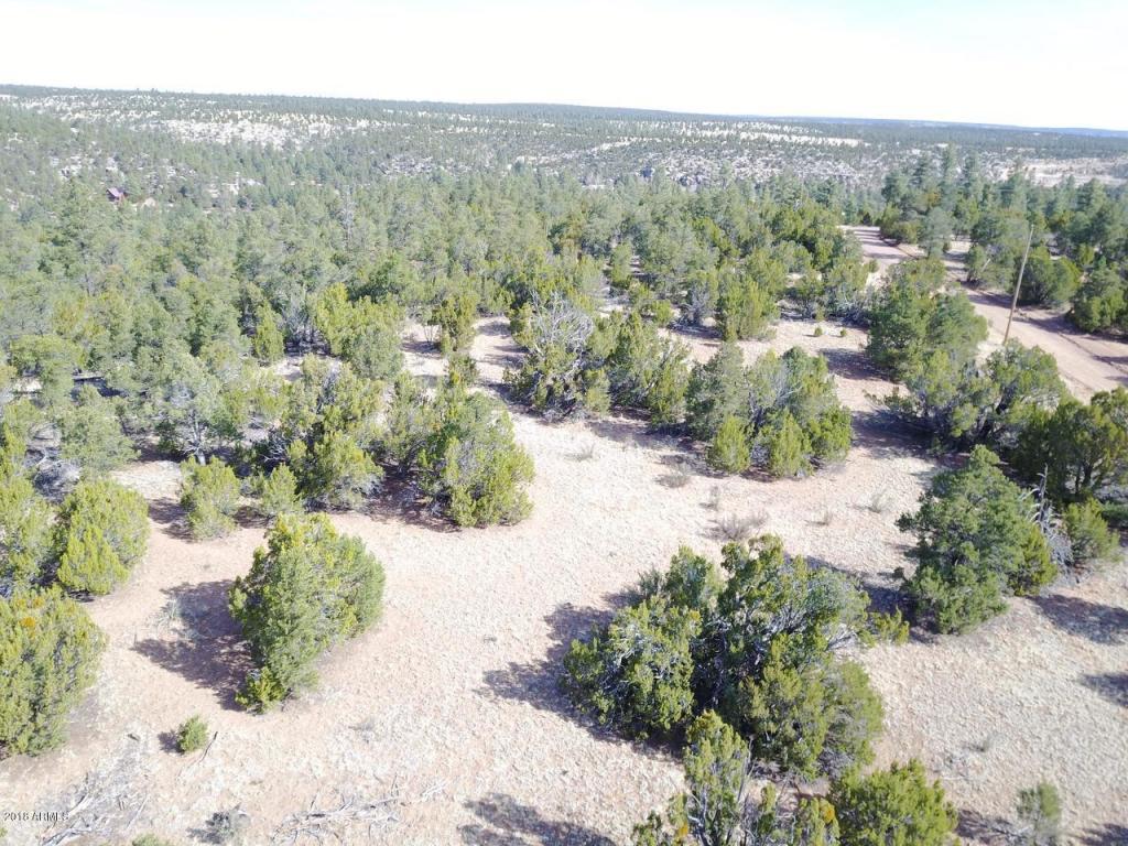 3354 Bear Heights - Photo 1