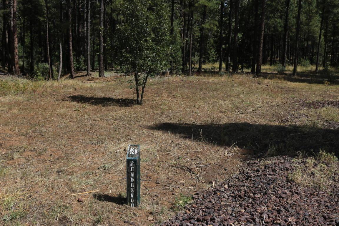 3900 Acer Lane - Photo 1