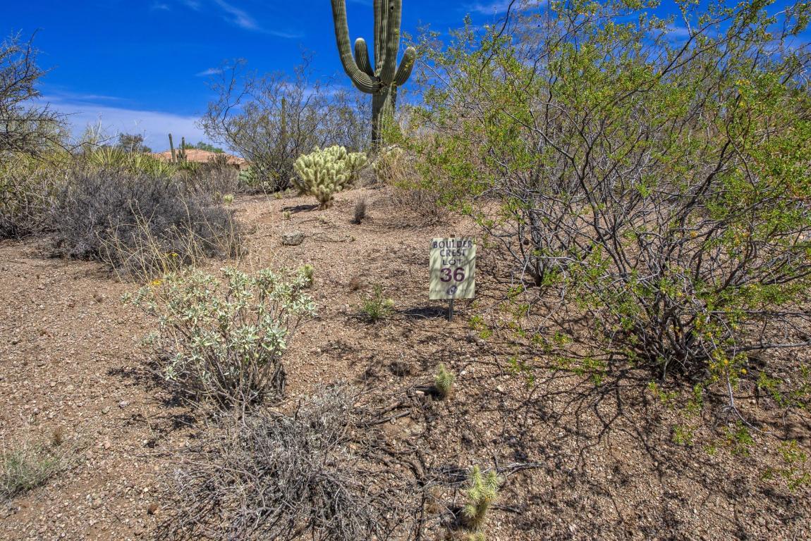 11076 Cinder Cone Trail - Photo 1