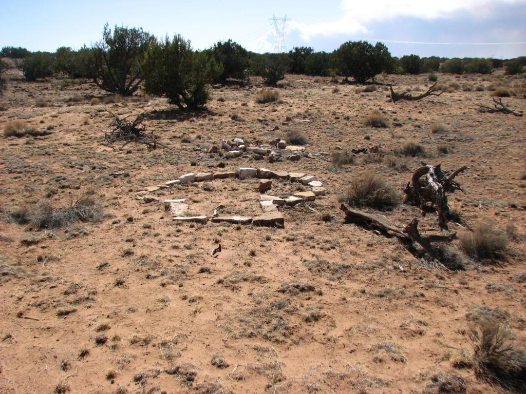 Lot 217 Chevelon Canyon Ranch - Photo 1