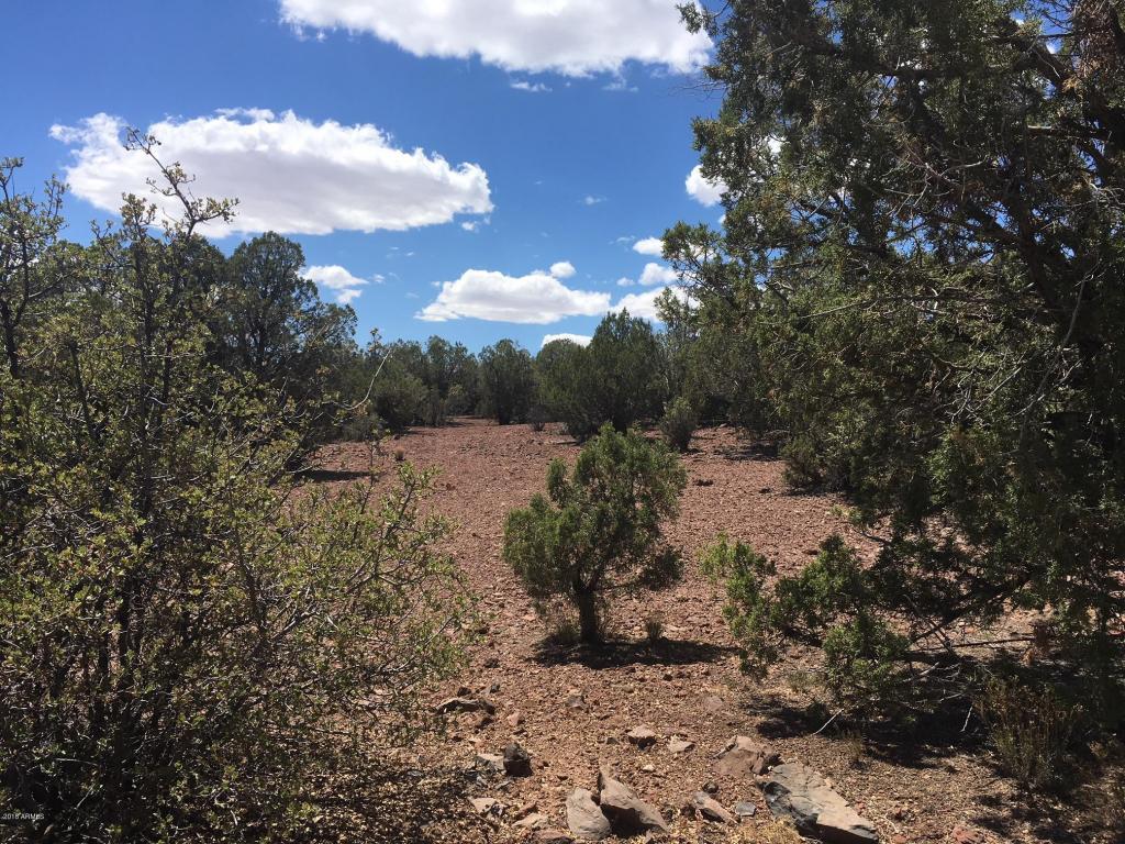 Lot 54 Mohave Kid Road - Photo 1