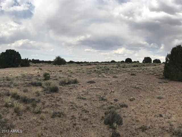 Lot 1 Highway 180 Highway - Photo 1