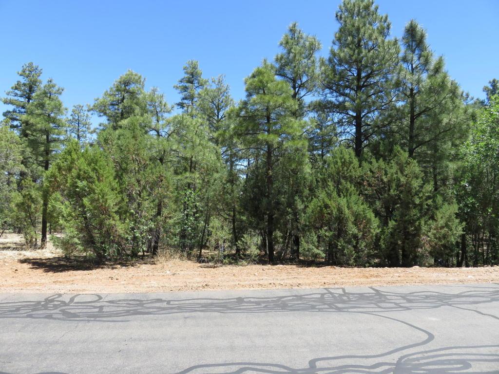 1651 Falling Leaf Road - Photo 1