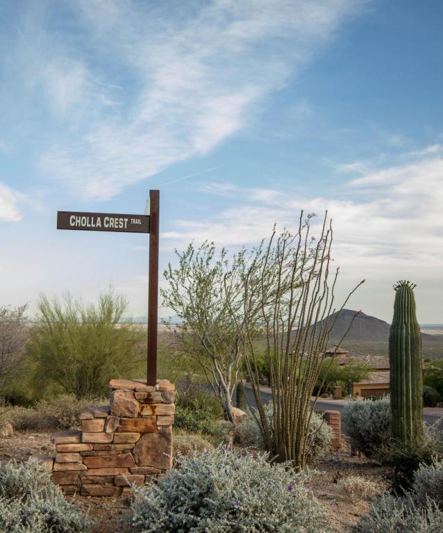 15227 Cholla Crest Trail - Photo 1
