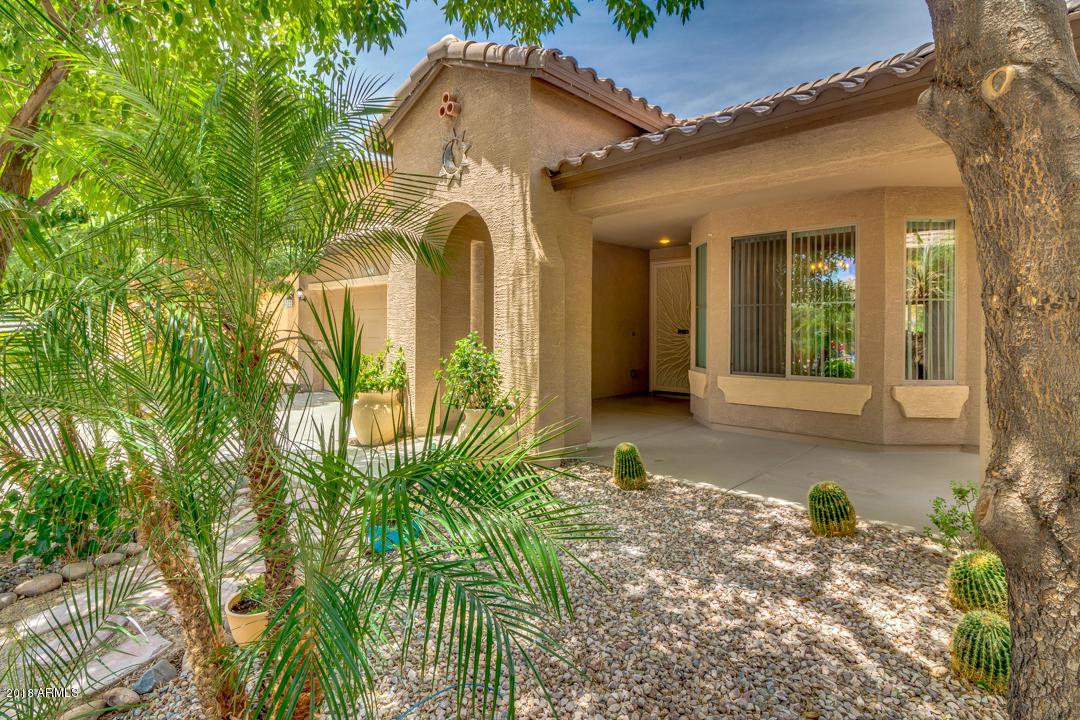 1224 Desert Glen Drive - Photo 1